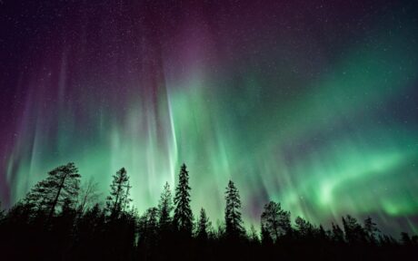 Menikmati Northern Lights di Norwegia: Panduan Lengkap Aurora Borealis